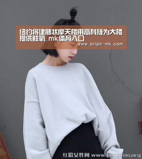 mk体育app