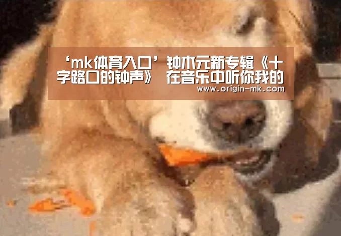 ‘mk体育入口’钟木元新专辑《十字路口的钟声》 在音乐中听你我的故事